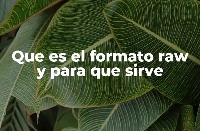 Que es el Formato Raw y para que Sirve