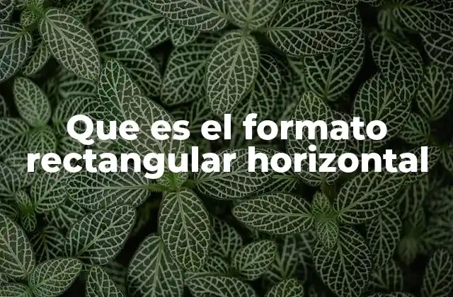 Que es el Formato Rectangular Horizontal