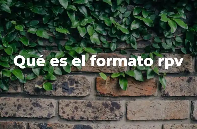 Qué es el Formato Rpv