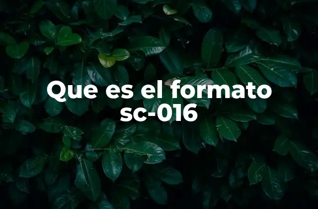 Que es el Formato Sc-016