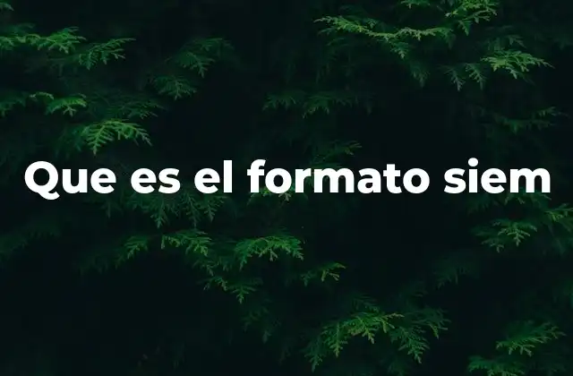 Cómo funciona el formato SIEM