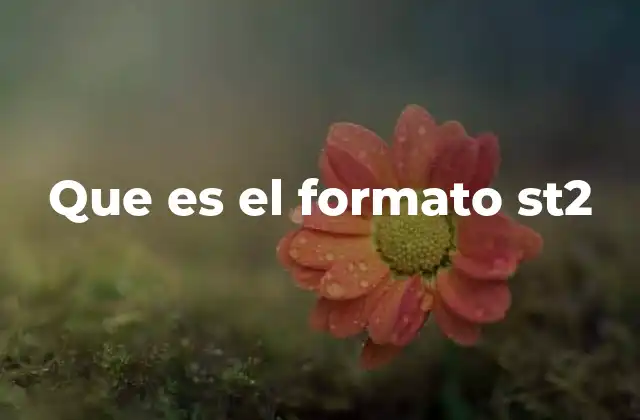 Que es el Formato St2