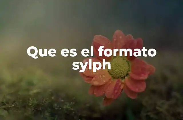 Que es el Formato Sylph