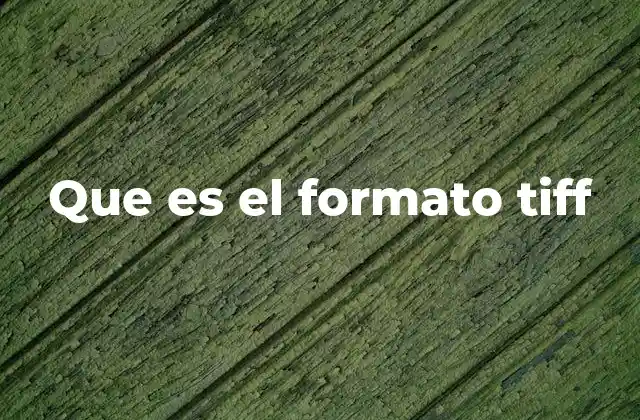 Que es el Formato Tiff