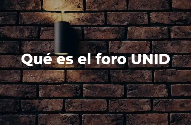 Qué es el Foro Unid