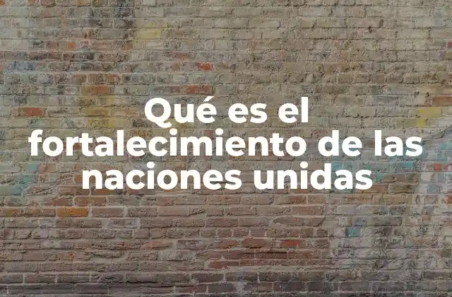 Qué es el Fortalecimiento de las Naciones Unidas