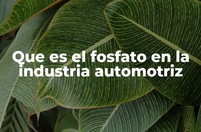 Que es el Fosfato en la Industria Automotriz 2 El fosfato como aliado en la protección de vehículos