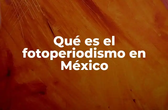 Qué es el Fotoperiodismo en México