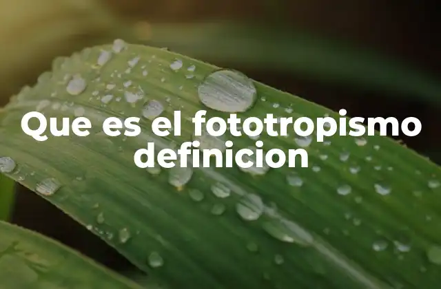 Que es el Fototropismo Definicion