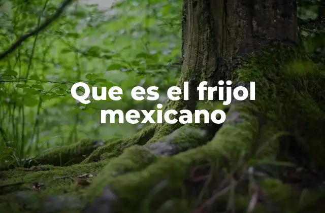 Que es el Frijol Mexicano