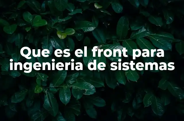 Que es el Front para Ingenieria de Sistemas