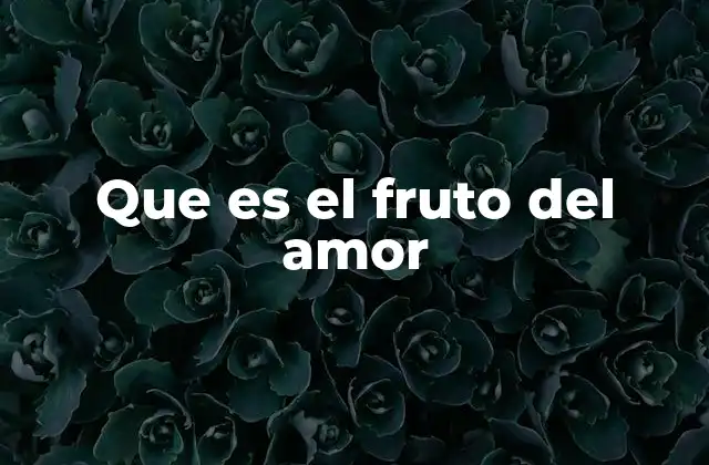 Que es el Fruto Del Amor