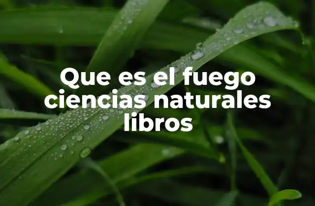 Que es el Fuego Ciencias Naturales Libros