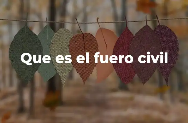 Que es el Fuero Civil
