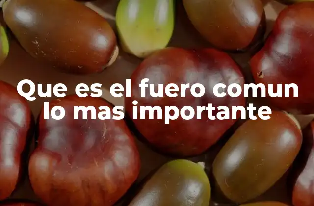 Que es el Fuero Comun Lo mas Importante