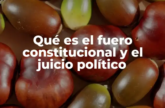 Qué es el Fuero Constitucional y el Juicio Político