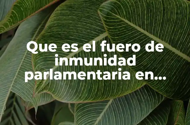 Que es el Fuero de Inmunidad Parlamentaria en Mexico