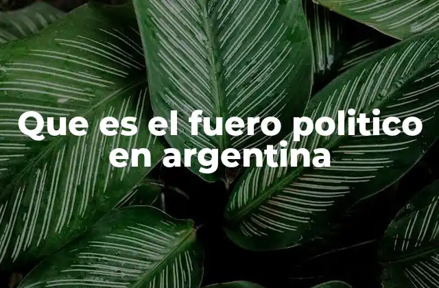 Que es el Fuero Politico en Argentina
