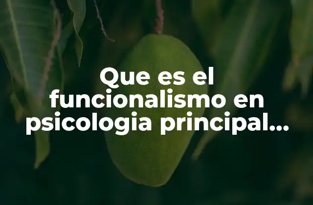 Que es el Funcionalismo en Psicologia Principal Representante 2 El enfoque funcionalista y su relevancia en la psicología moderna