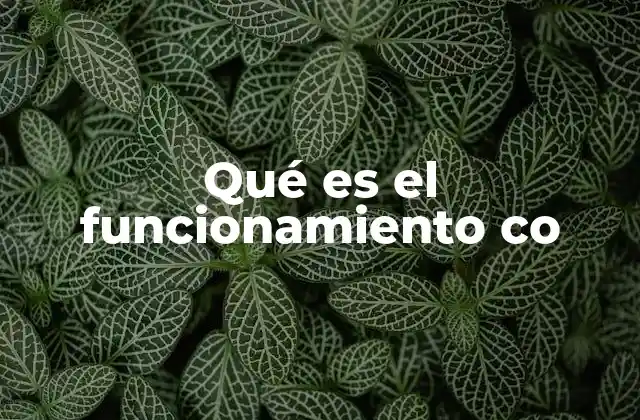 Qué es el Funcionamiento Co 2 La importancia del trabajo colaborativo en el funcionamiento co