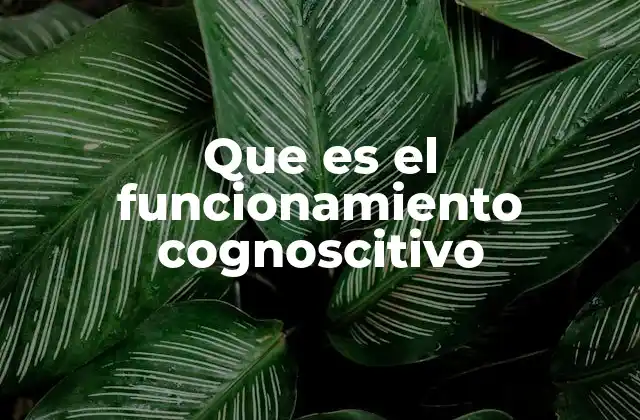 Que es el Funcionamiento Cognoscitivo