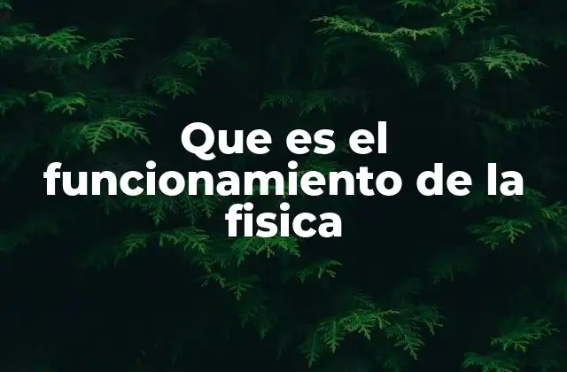 Que es el Funcionamiento de la Fisica