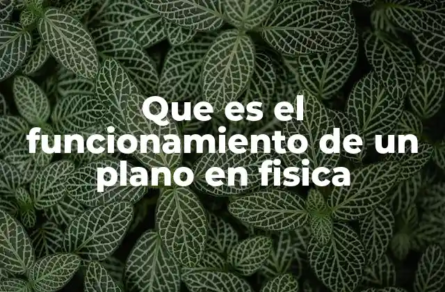 Que es el Funcionamiento de un Plano en Fisica