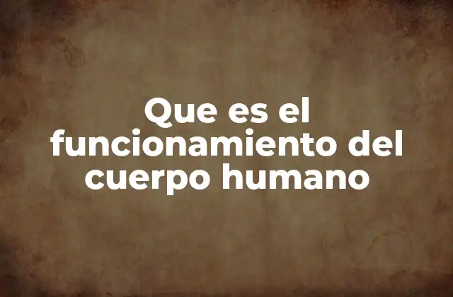Que es el Funcionamiento Del Cuerpo Humano