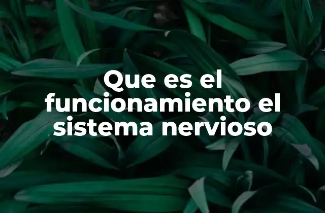 La importancia de la comunicación interna en el cuerpo humano