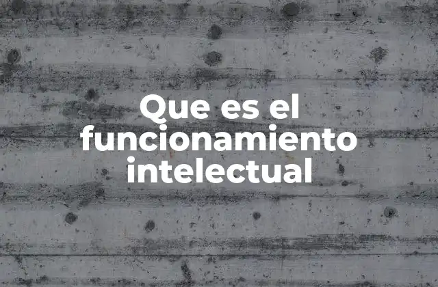 Que es el Funcionamiento Intelectual