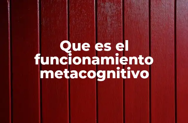 Que es el Funcionamiento Metacognitivo