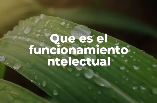 Que es el Funcionamiento Ntelectual