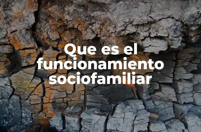 Que es el Funcionamiento Sociofamiliar 2 Las bases del entorno familiar y su impacto en el desarrollo individual