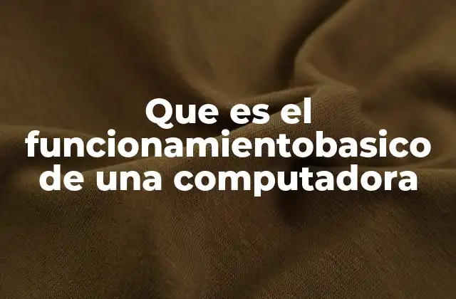 Que es el Funcionamientobasico de una Computadora