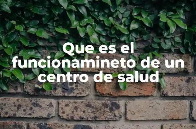 Que es el Funcionamineto de un Centro de Salud