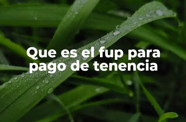Que es el Fup para Pago de Tenencia
