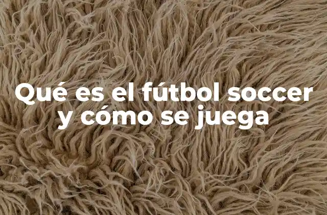 Qué es el Fútbol Soccer y Cómo Se Juega 2 El fútbol soccer como fenómeno cultural y social