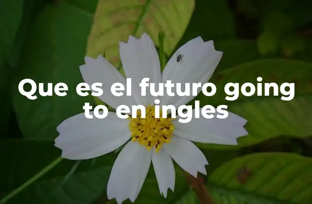 Que es el Futuro Going To en Ingles
