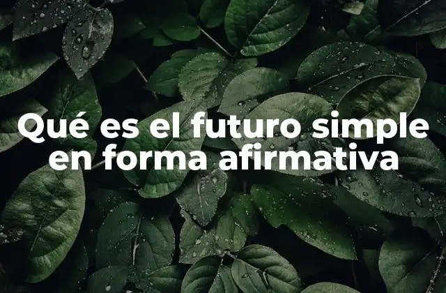Qué es el Futuro Simple en Forma Afirmativa