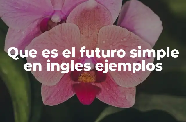 Que es el Futuro Simple en Ingles Ejemplos