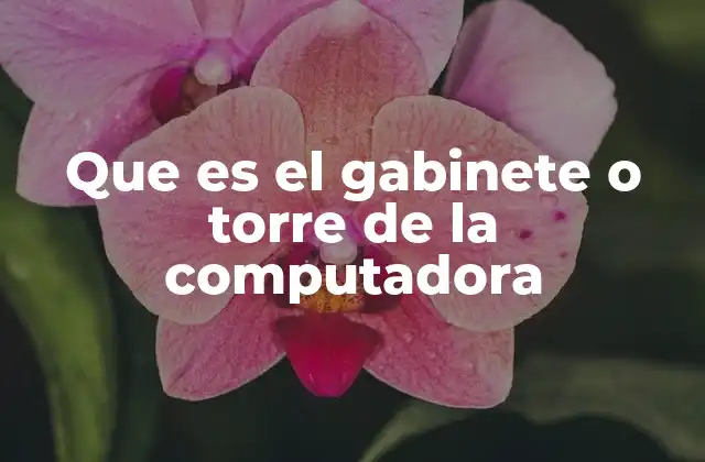 Que es el Gabinete o Torre de la Computadora