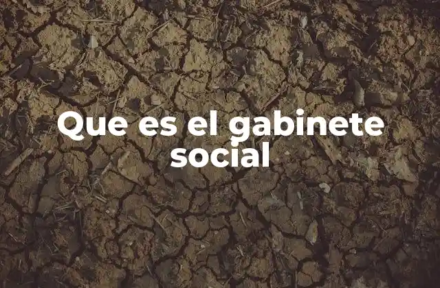 Que es el Gabinete Social