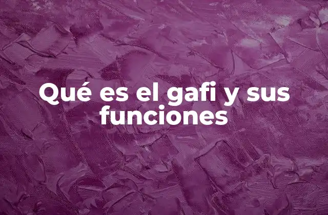 Qué es el Gafi y Sus Funciones