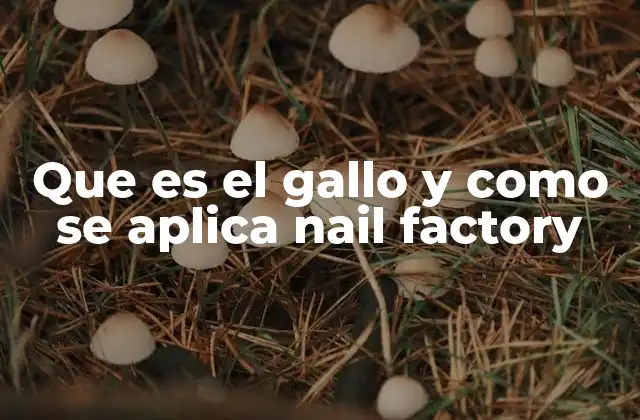Que es el Gallo y como Se Aplica Nail Factory