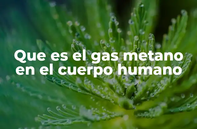 Que es el Gas Metano en el Cuerpo Humano