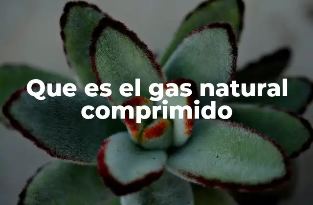 Que es el Gas Natural Comprimido