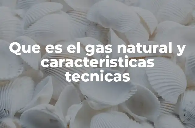 Que es el Gas Natural y Caracteristicas Tecnicas