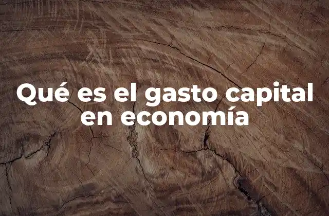 Qué es el Gasto Capital en Economía
