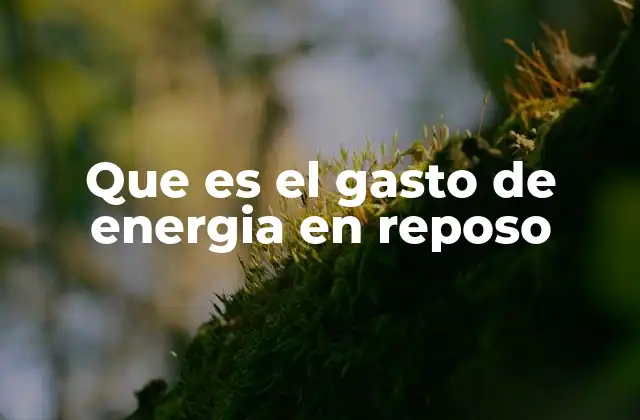 Que es el Gasto de Energia en Reposo