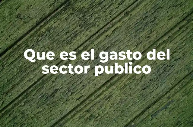 Que es el Gasto Del Sector Publico